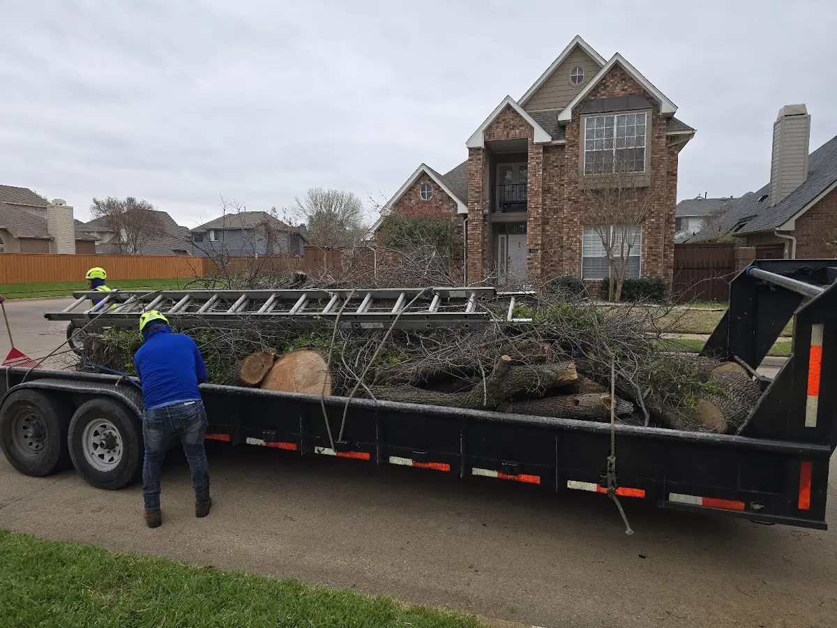 Expert Tree Removal with proper safety equipment in Smith Center